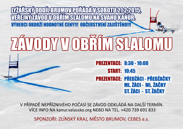 Závod v obřím slalomu 21.2.2015